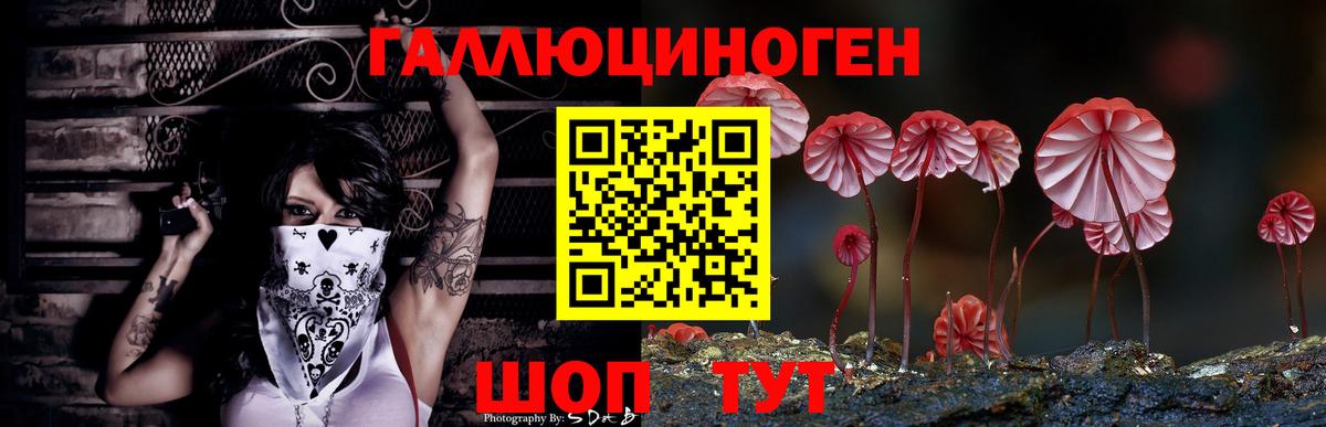 Псилоцибиновые грибы прущие грибы Санкт-Петербург